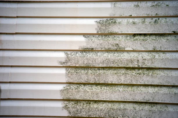 Best Property Management Cleanouts  in Charlestown, IN